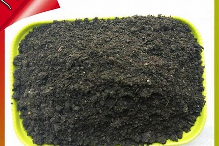 杨树茁壮肥有哪些