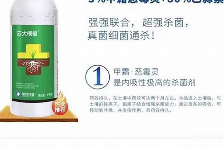 辣椒烂头烂根特效药