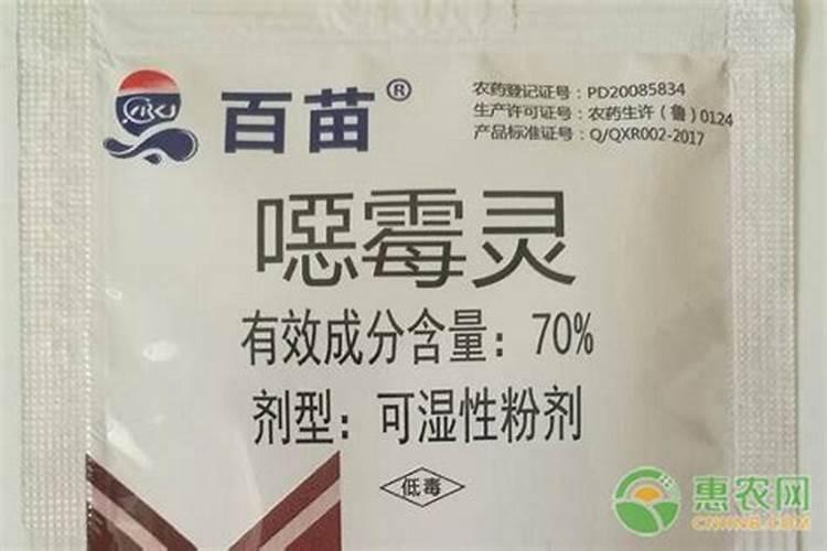 日光温室越冬茬樱桃番茄是如何栽培的？