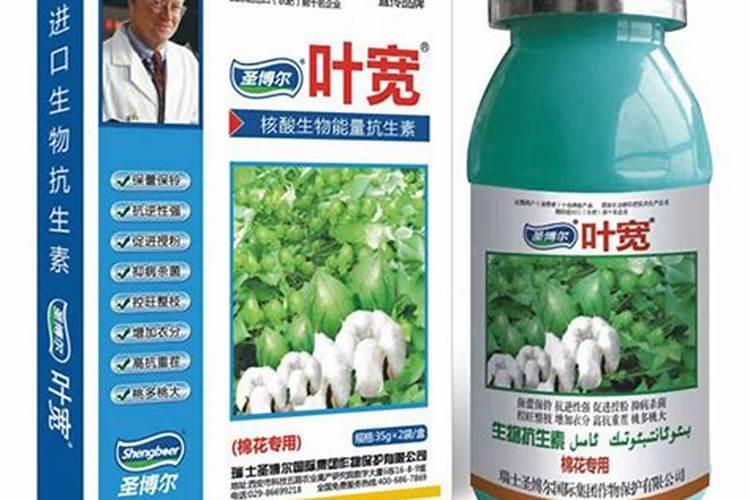棉花受旱打叶面肥有用吗？
