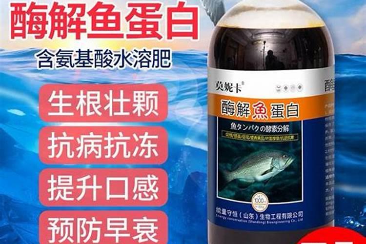 鱼蛋白肥如何辨别好坏？