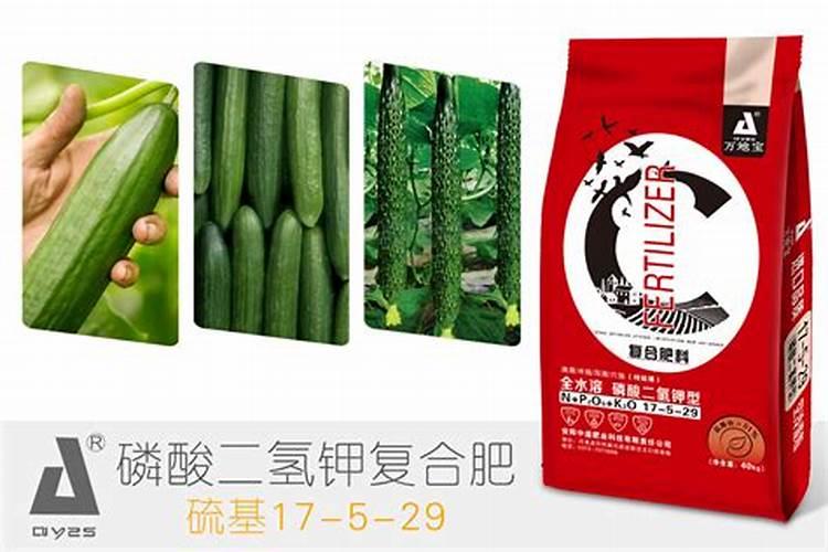 瓜类植物上什么肥料？