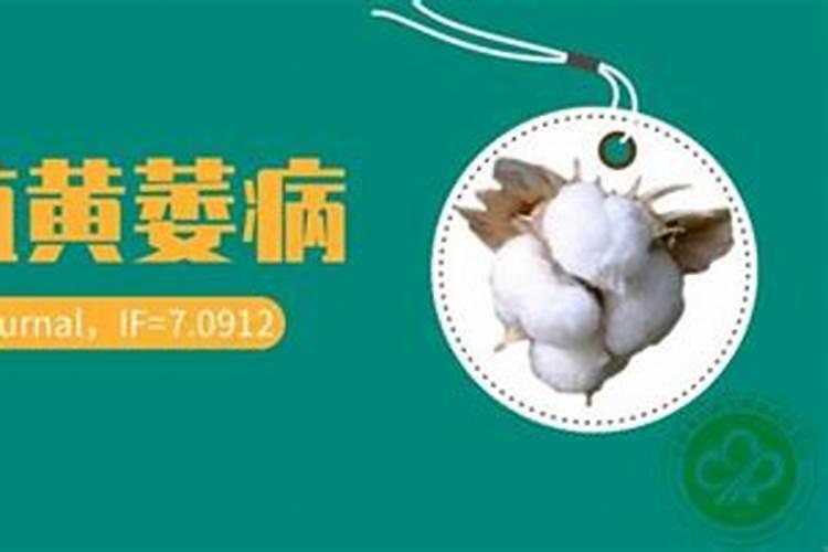 钙镁硼锌铁不能乱用