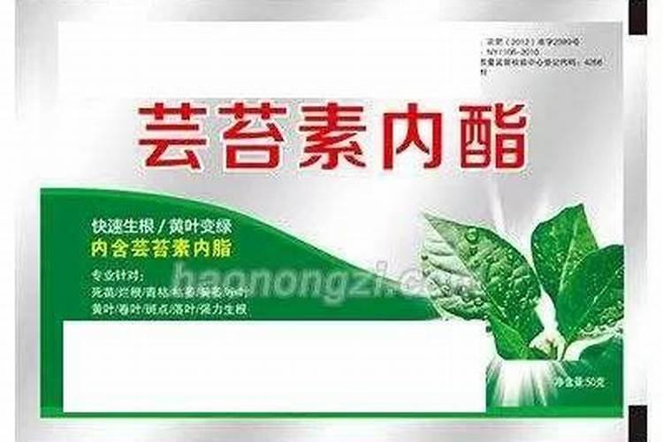 梨树的施药时间和方法