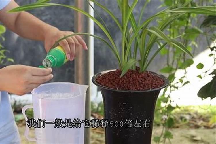 大棚蔬菜水溶肥怎样冲？施水溶肥有什么好处？