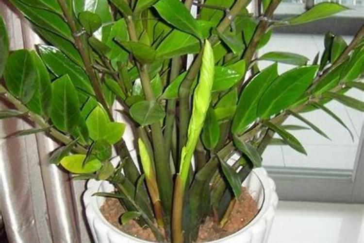 复合肥放了三年还能用吗