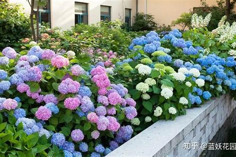 夏天花可以施肥吗