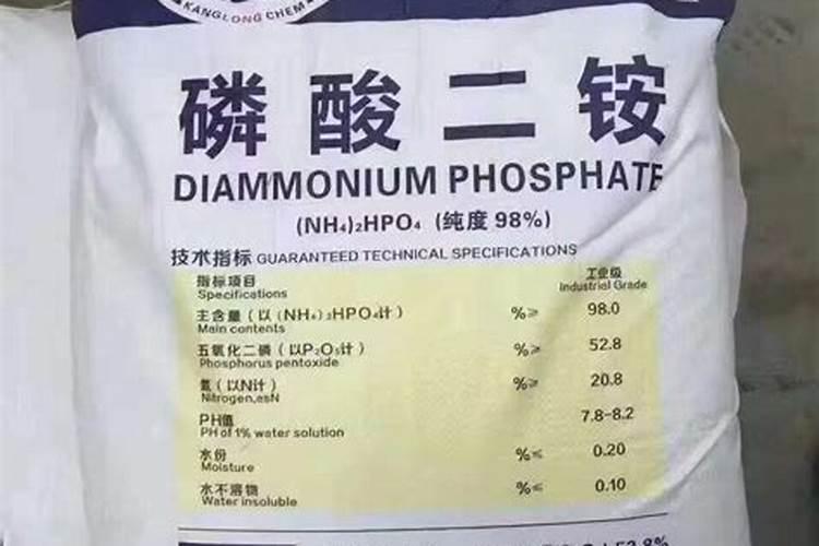 三角梅上什么肥爱开花