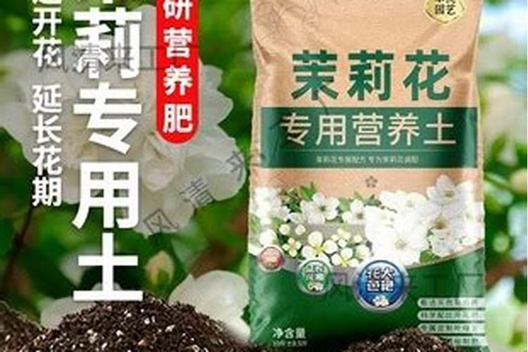 茉莉用什么肥料最好最旺