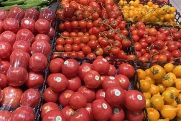 种植番茄想增产需要掌握哪些施肥技巧 番茄怎么施肥