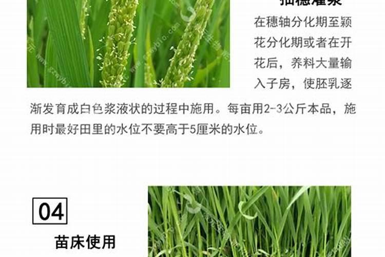 花生含不含淀粉啊