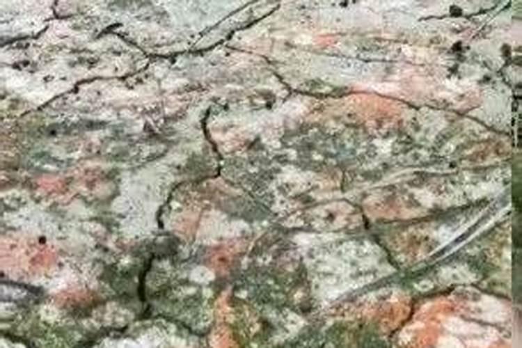 钾肥过量有什么危害科学施肥