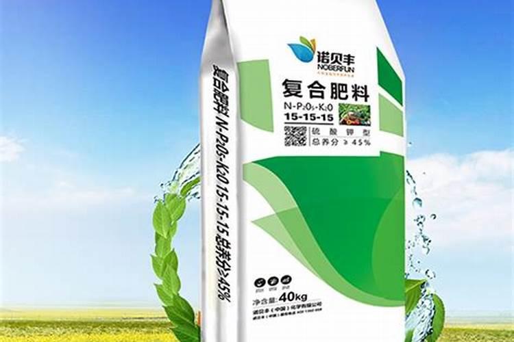 柿子树开花不结果怎么办