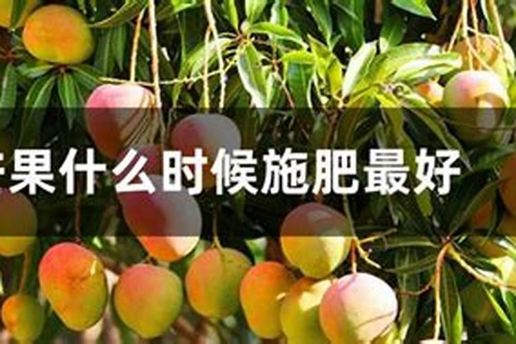 月季什么时候用氮肥