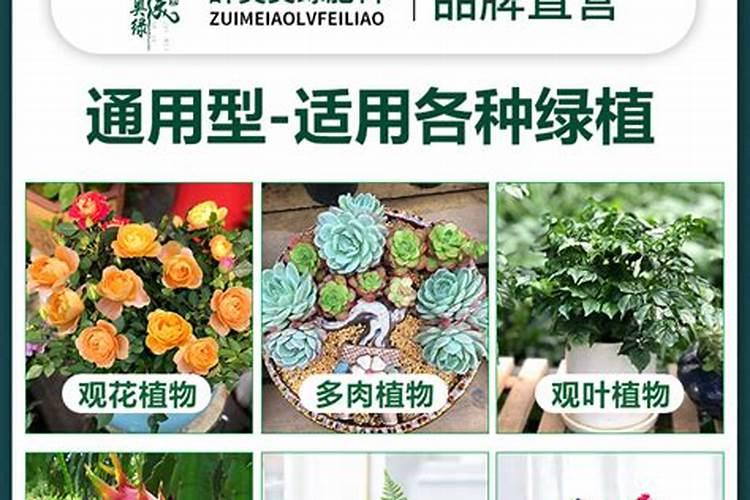 海豚锦鲤配合饲料20公斤多少