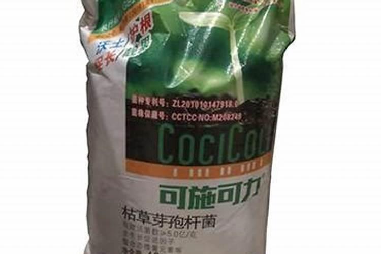 羊用枯草芽孢杆菌 酿酒酵母有什么作用