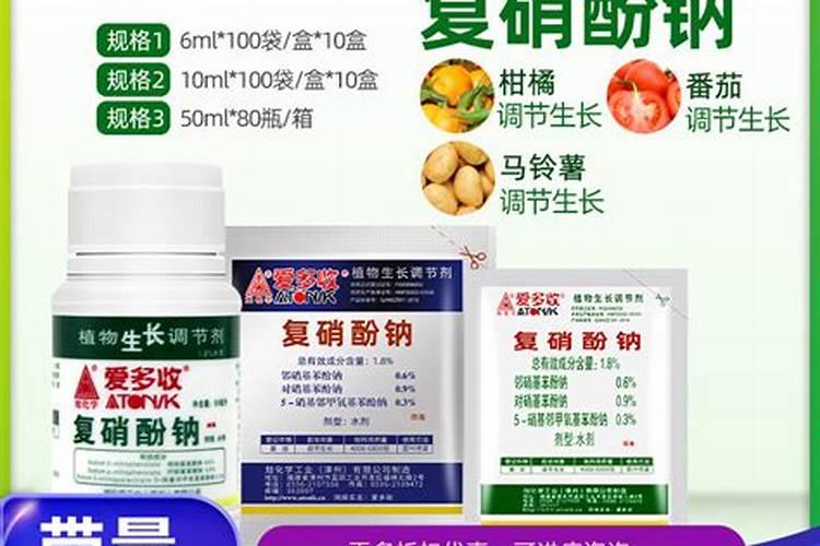 丝瓜、黄瓜如何结瓜多？巧妙的4步管理,好瓜一茬接一茬