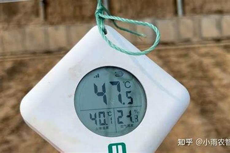 大棚茄子在苗期施用什么微量元素肥料？？