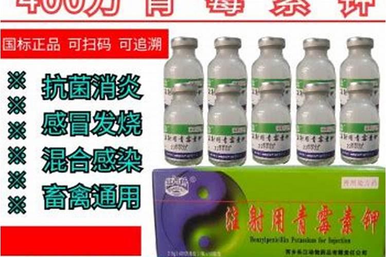 龙舌兰花,叶子上有斑点,是什么病,怎么办？