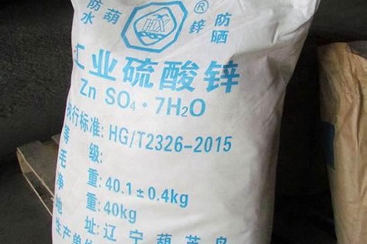 连翘树可以做盆景吗