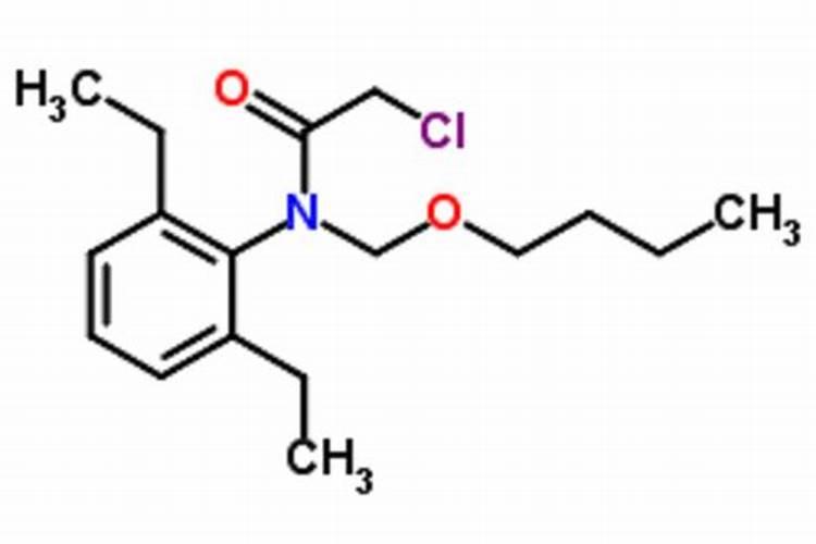 中药材不敢用膨大肥？没事？意赛格为您“照明”