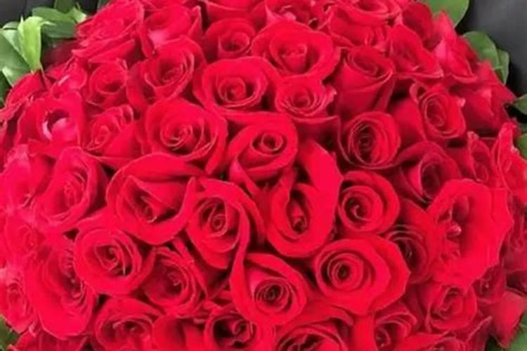 月季是每个月都开花吗？