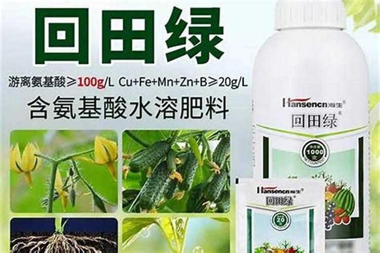 桃钙素失调的症状是什么？该怎样进行防治
