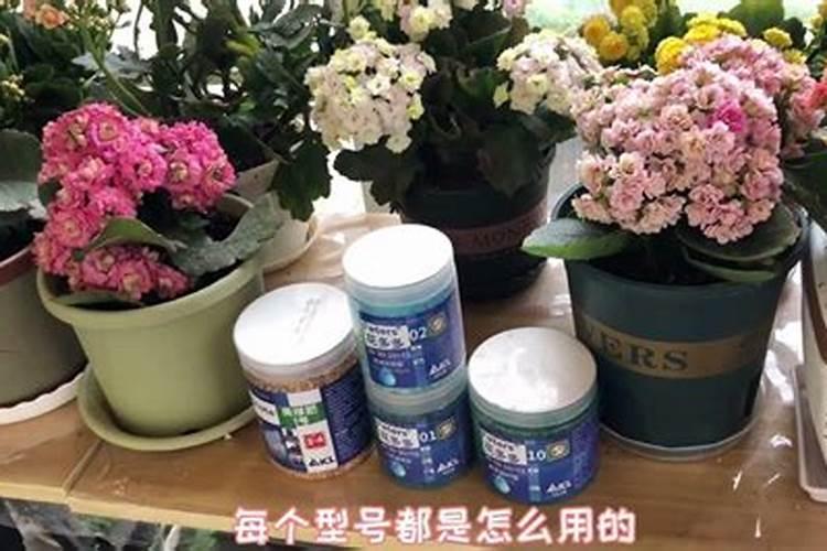 桃树保果用什么药最好