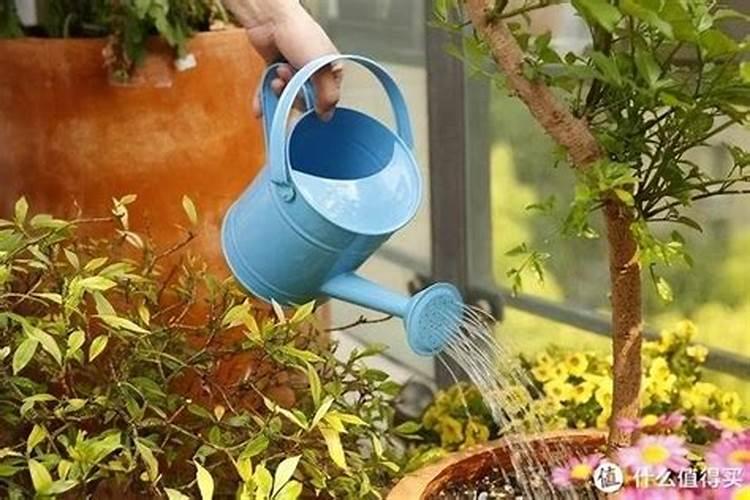 浇花时磷酸二氢钾1克需要兑多少水？