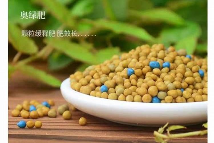 德沃多bb肥中黄色颗粒是什么肥
