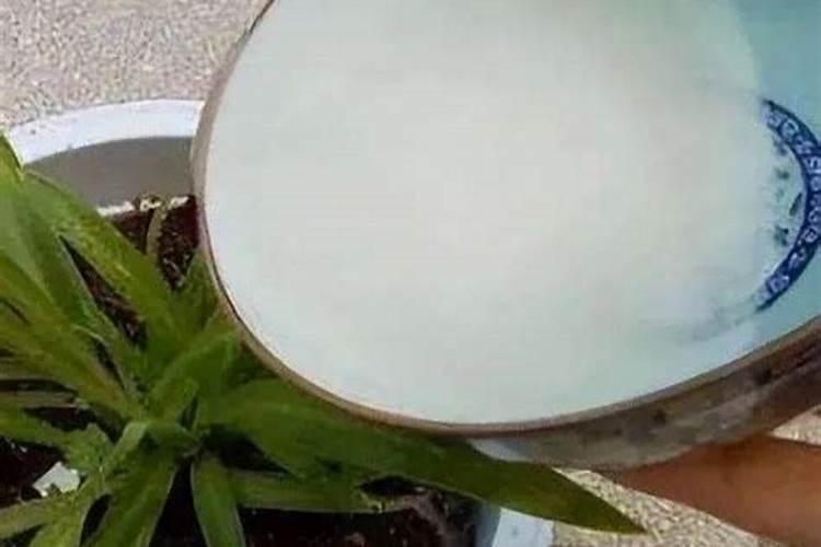 化学肥料像氮肥是纯净物还是混合物