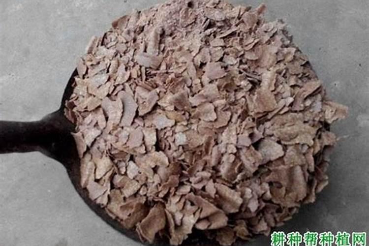 香蕉用什么肥料好