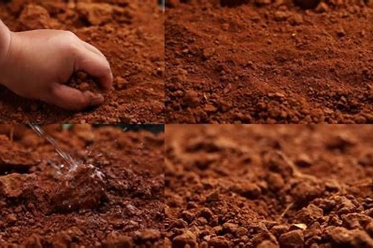 红土红土之土壤