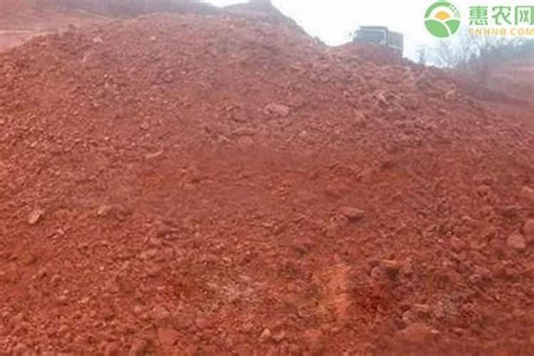 湖北红土地适合种什么