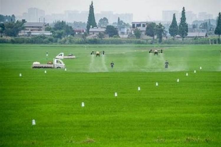 多菌灵代森锰锌混合使用方法