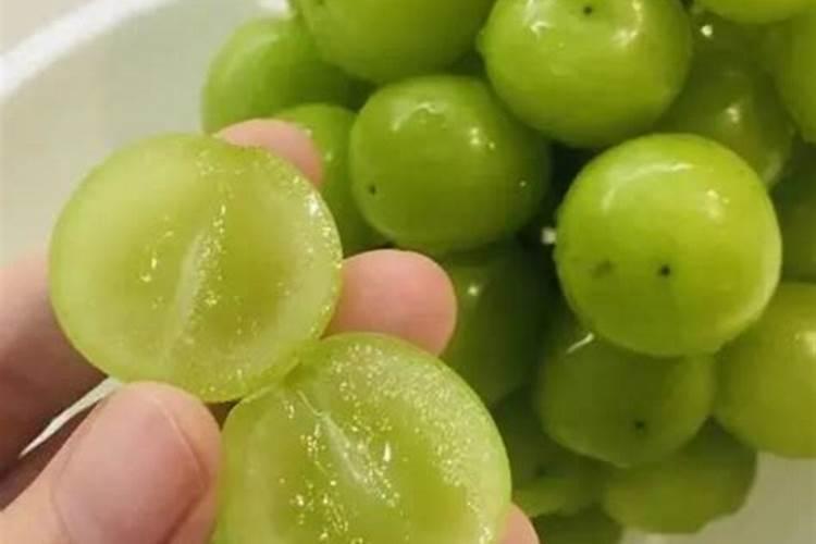 阳光玫瑰葡萄拉花用美国奇宝1包配多少水