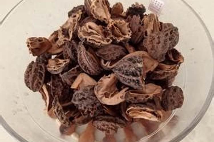 五,六月份我的猕猴桃的叶片很大,而目墨绿,但八月份后,叶片变小了很多...