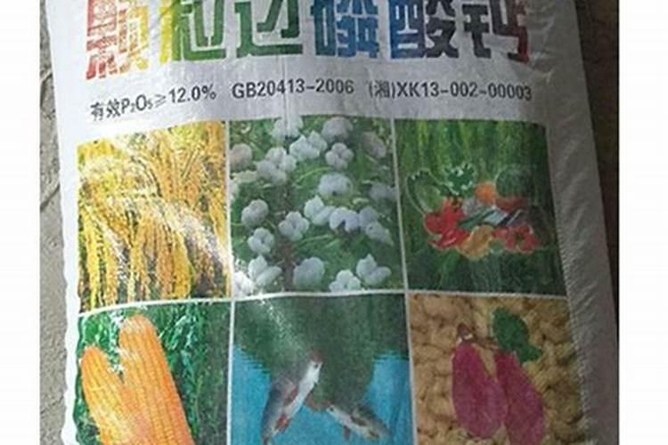 分葱的正确方法 分葱的种植技术分享