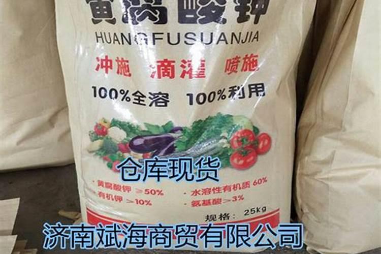 双子叶植物的种子内子叶的作用和特点是