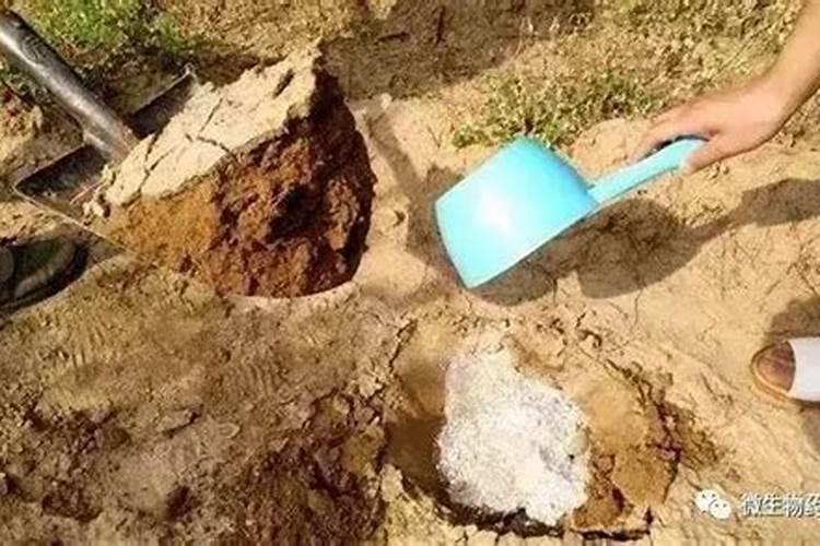 施肥注意事项及方法 施肥需要注意什么