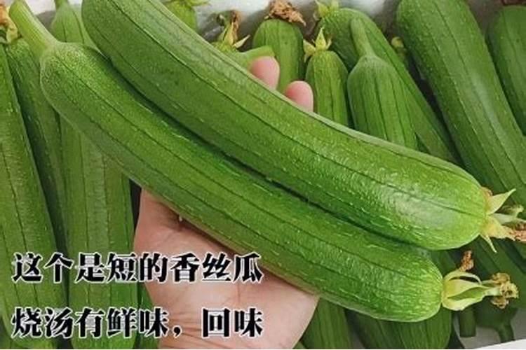 丝瓜需要什么肥料,丝瓜施肥技术