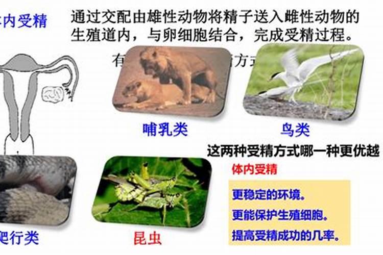 矿源黄腐酸钾是酸性还是碱性？矿源黄腐酸钾怎么使用肥效高