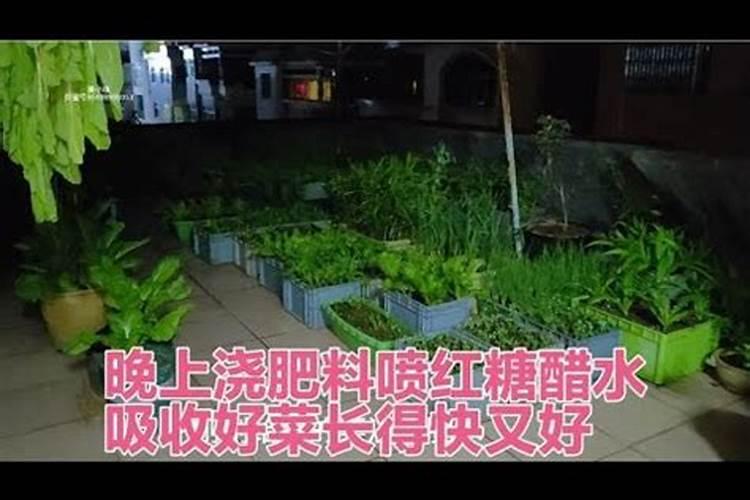冲施肥p和k是什么意思