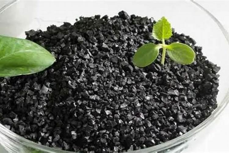 腐植酸和黄腐酸的区别