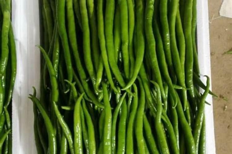 辣椒增产为啥打叶面肥？用什么叶面肥更增产