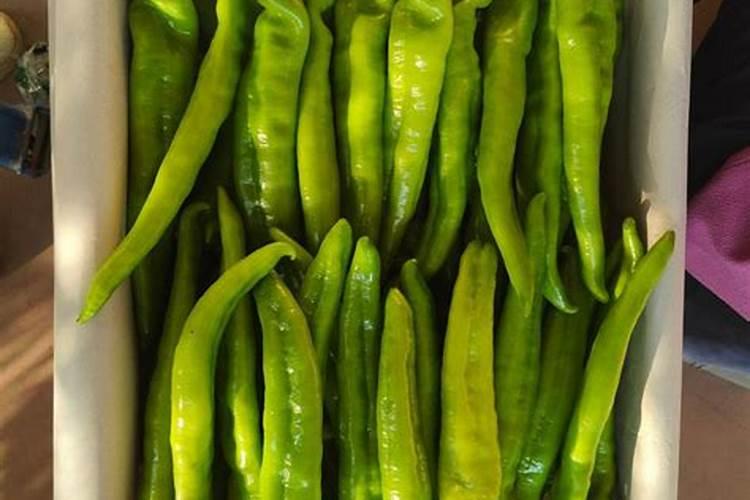 辣椒结果期几天喷一次叶面肥？