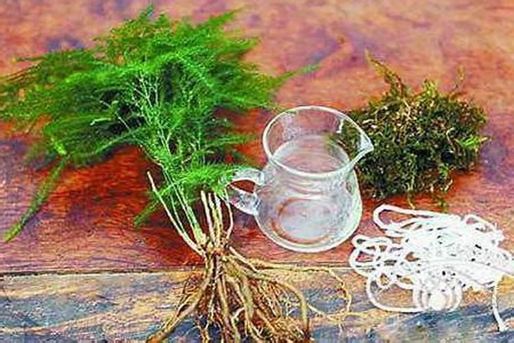 蓝莓可以淋雨吗