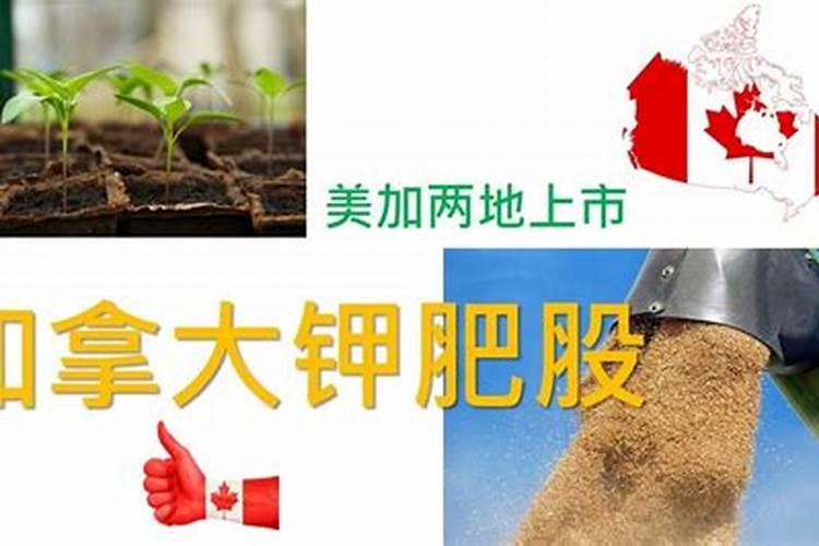 现在加拿大的绿化钾是怎样的