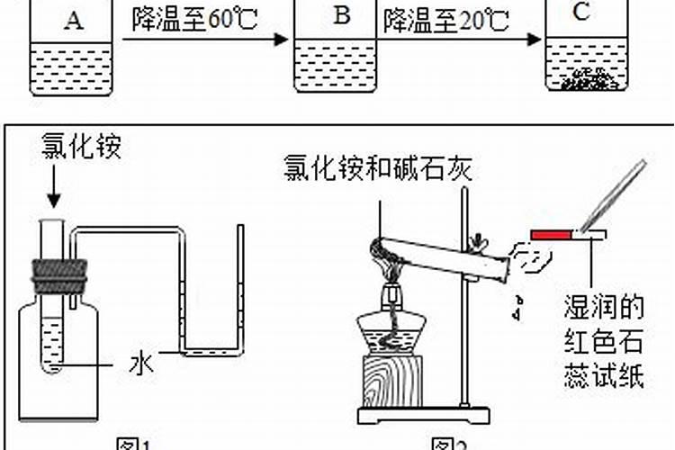 食用酵母可发酵肥料吗