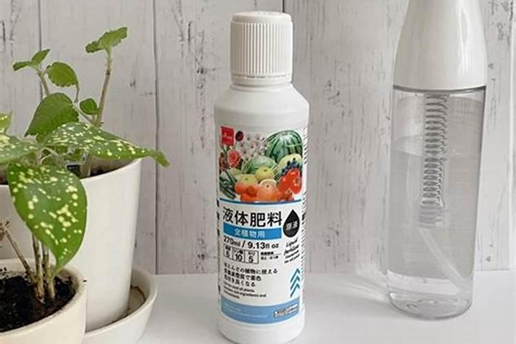 油葵几叶期施肥最好